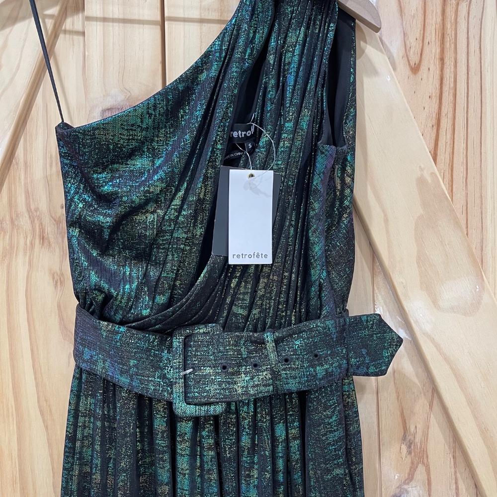 Retrofete Andrea Maxi Dress - Picture 5 of 7